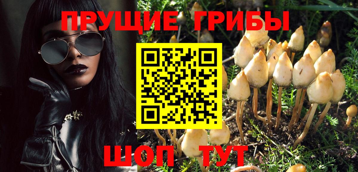 Псилоцибиновые грибы ЛСД Минусинск