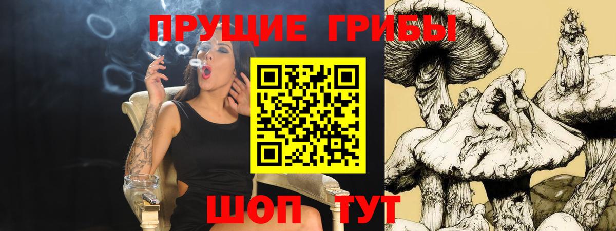 Галлюциногенные грибы GOLDEN TEACHER  Псилоцибиновые грибы MAGIC MUSHROOMS  Вход с VPN  Минусинск 